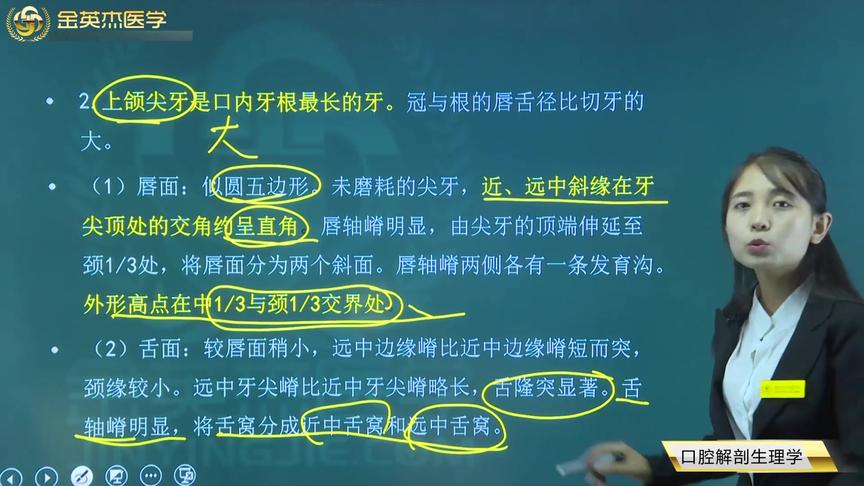 [图]口腔医师知识考点讲解第2章 口腔解剖生理学02牙齿外形及意义02