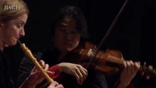 [图]Bach-C小调双簧管和小提琴协奏曲BWV 1060r - Black and Sato