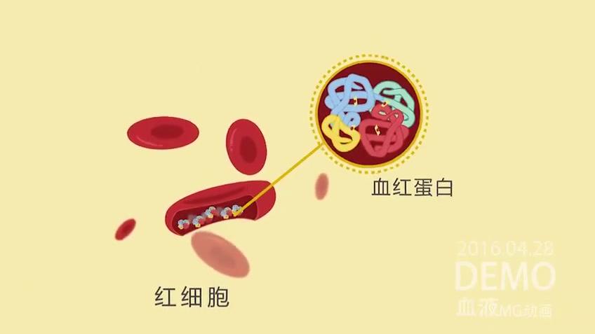 [图]医学科普动画：3分钟看懂血液中的各种成分