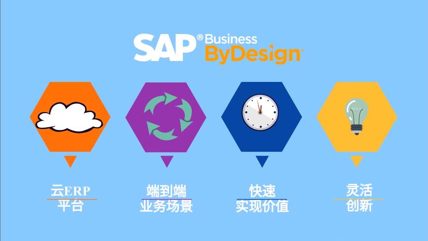 [图]SAP Business ByDesign 之项目管理 - 高效计划与透明成本