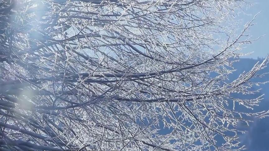 [图]二十四节气：冬至日，一年中白天时间最短的一天