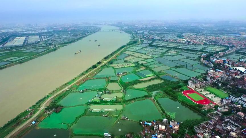 [图]寻味顺德：味道被食物和记忆传递，连接着永恒的乡土之源