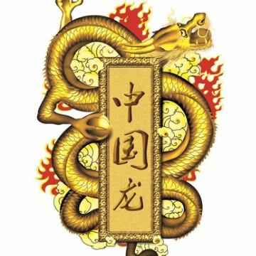 中国华夏龙头像