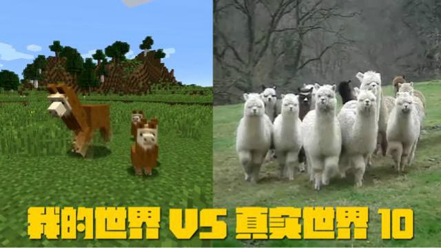 我的世界VS真实世界10，神兽群的强势气场向我扑面而来