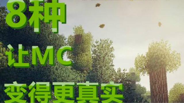 我的世界-8种代码让MC变得更真实