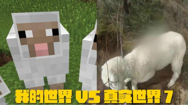 我的世界VS真实世界7，兄弟们，羊羊君已经成功被我救出