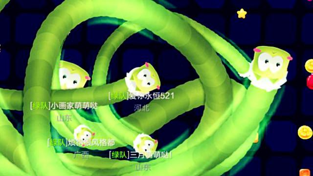 贪吃蛇大作战 蛇蛇争霸 团队精彩击杀集锦