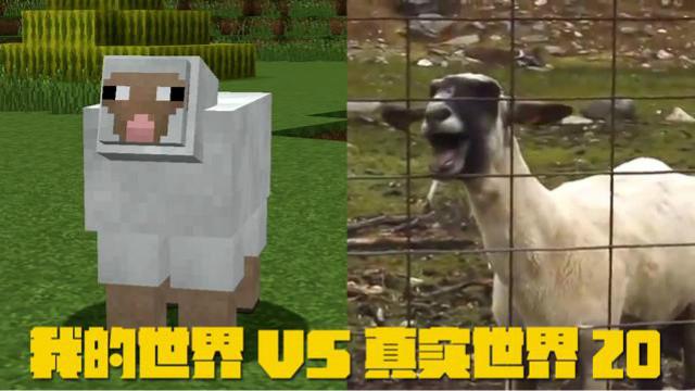 我的世界VS真实世界20，这清脆悦耳的叫声也是没谁了