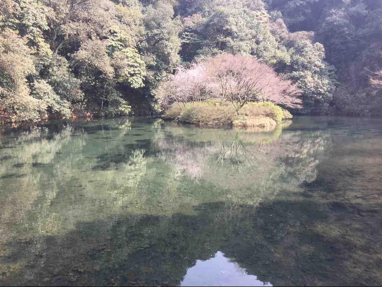 隆瑶头像