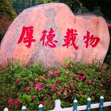 止恶从善头像