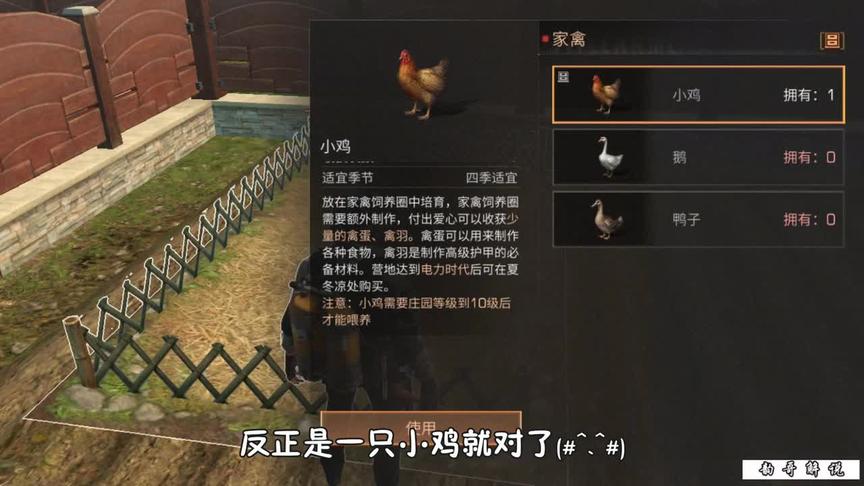 明日之后：开始饲养家禽，这小鸡小到看不见！（一）