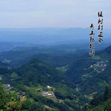 怡居乡野头像