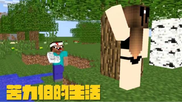 MC动画—苦力怕的生活，苦力怕使用美人计诱惑菜鸟
