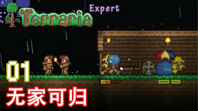 泰拉瑞亚专家生存 01 无家可归