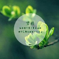 娱云乐头像