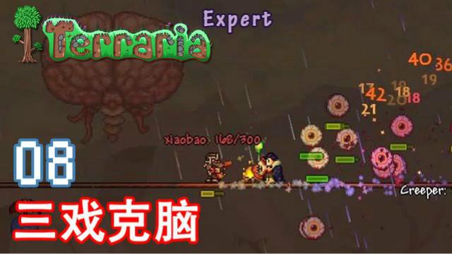 泰拉瑞亚专家生存 08 三戏克脑