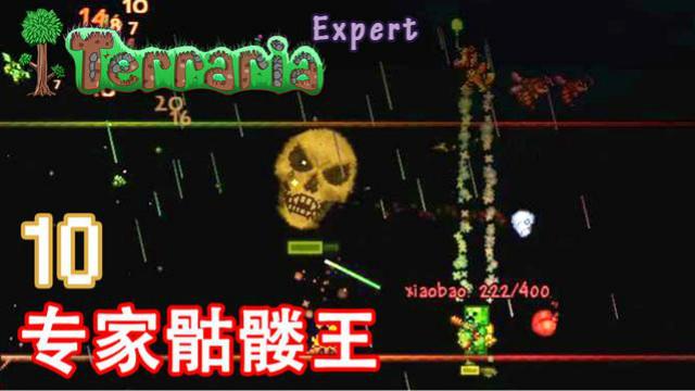 泰拉瑞亚专家生存 10 专家骷髅王