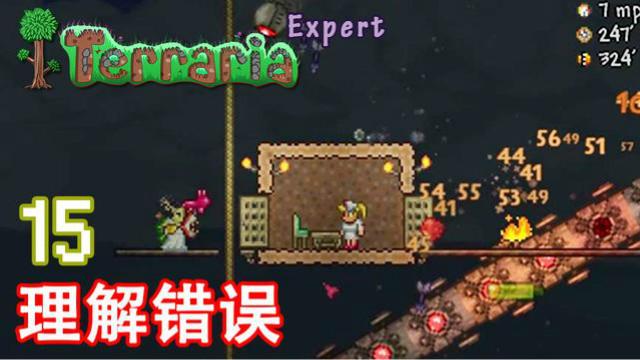 泰拉瑞亚专家生存 15 理解错误