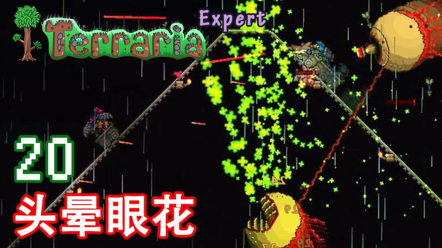 泰拉瑞亚专家生存 20 头晕眼花