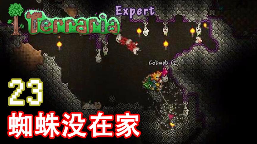 泰拉瑞亚专家生存 23 蜘蛛没在家