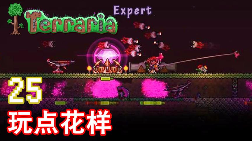 泰拉瑞亚专家生存 25 玩点花样
