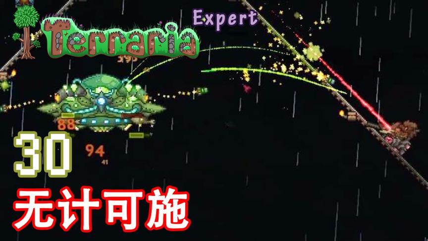 泰拉瑞亚专家生存 30 无计可施