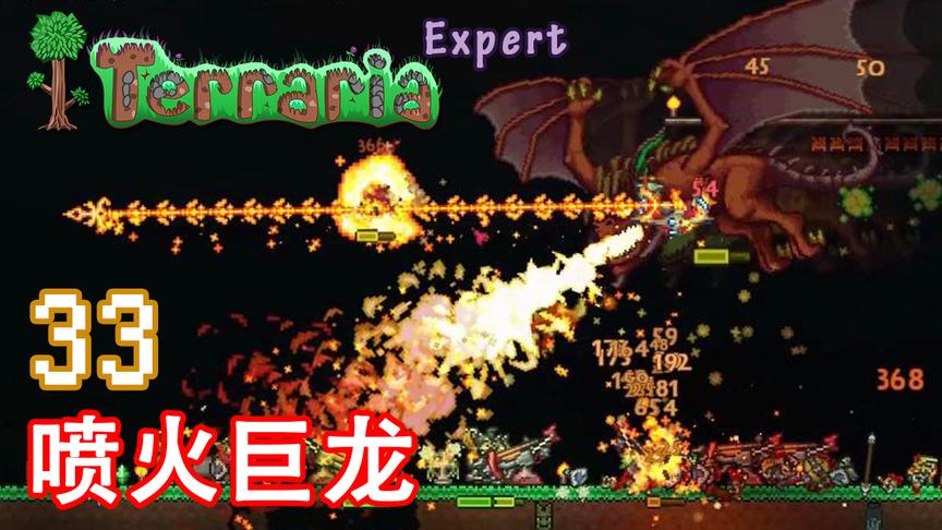 泰拉瑞亚专家生存 33 喷火巨龙