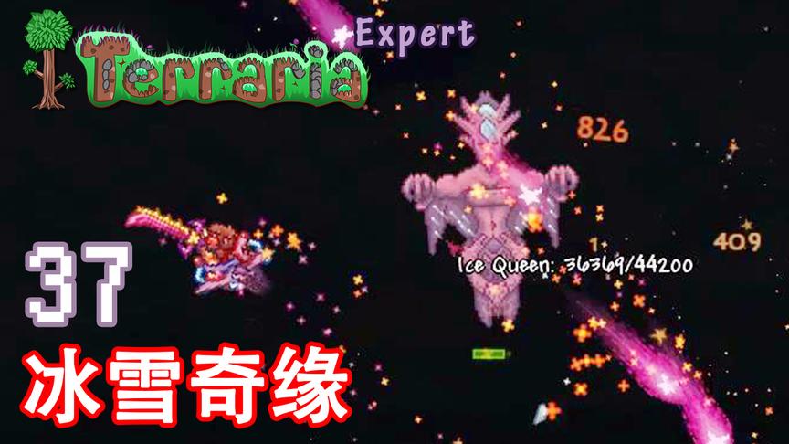 泰拉瑞亚专家生存 37 冰雪奇缘