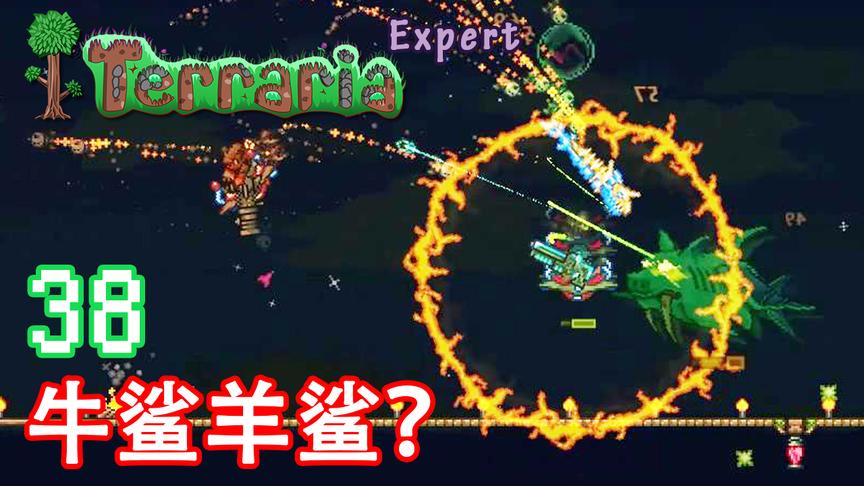 泰拉瑞亚专家生存 38 牛鲨羊鲨？