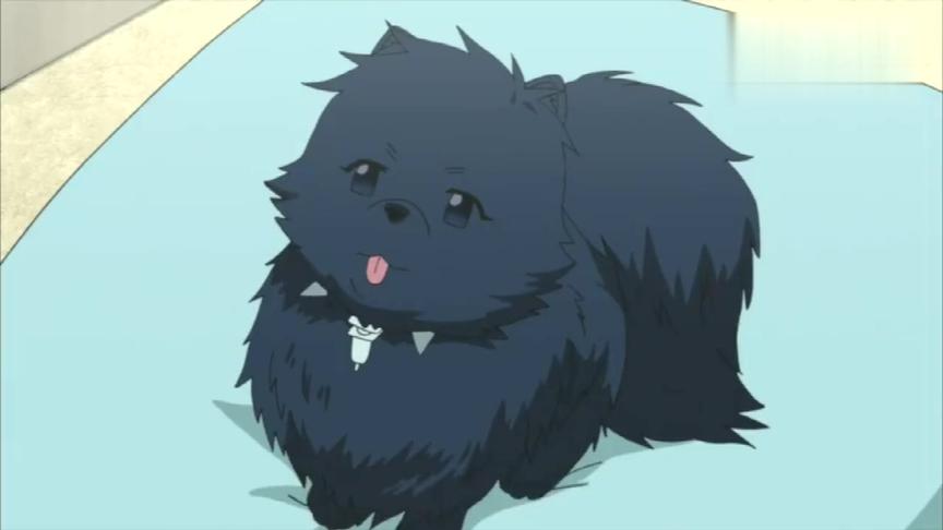 戏剧性谋杀苍叶居然被一只狗狗调戏了莲还是以前的样子就好