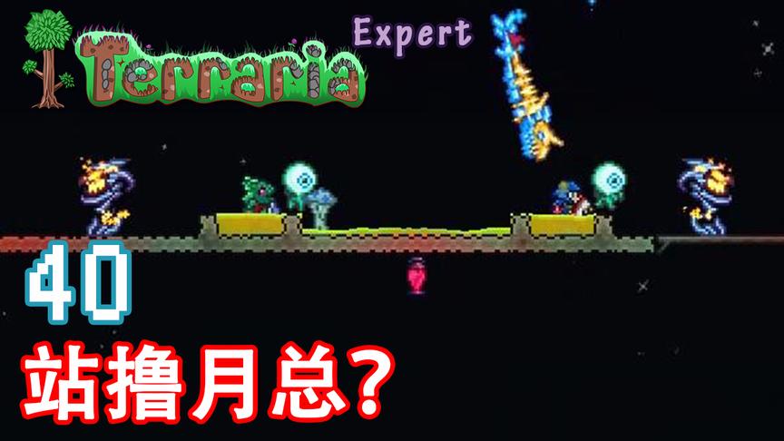 泰拉瑞亚专家生存 40 回血大法站撸月总？