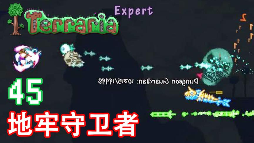 泰拉瑞亚专家生存 45 地牢守卫者