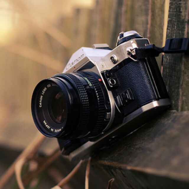 寂寞摇手机头像