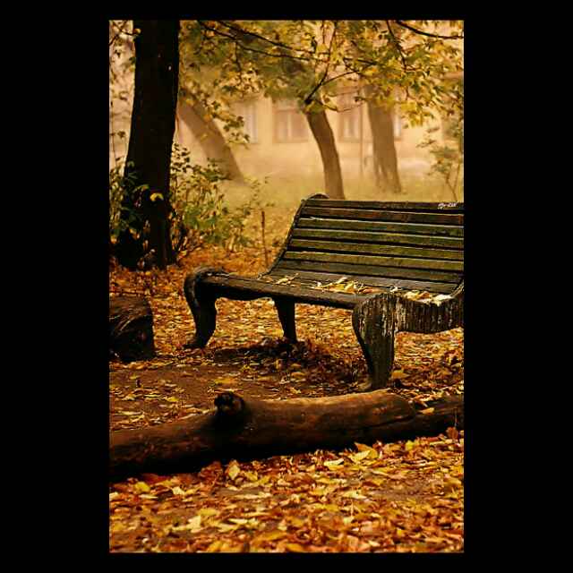 吴天龙87325的个人主页 - 西瓜视频