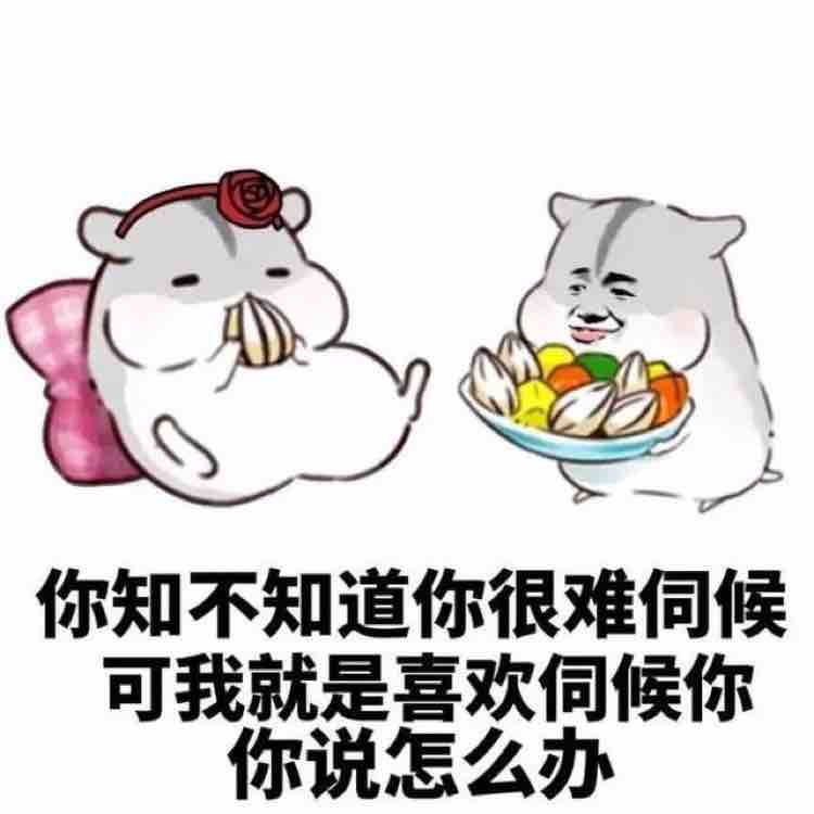 乐可情侣头像图片