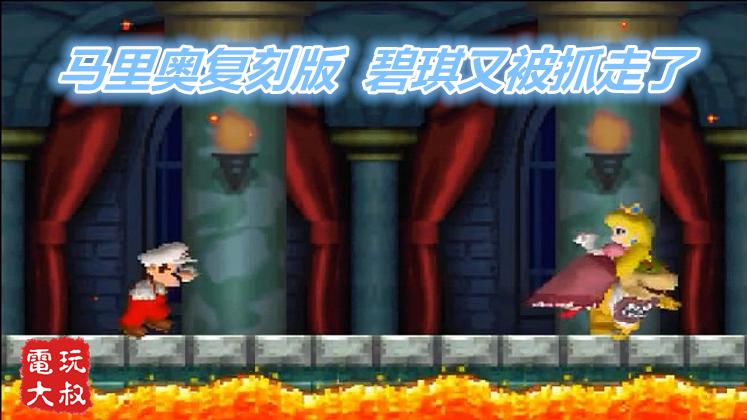 FC马里奥NDS复刻版，碧琪你是不是被绑架成隐