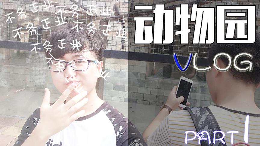 不好好做视频去动物园乱玩VLOG