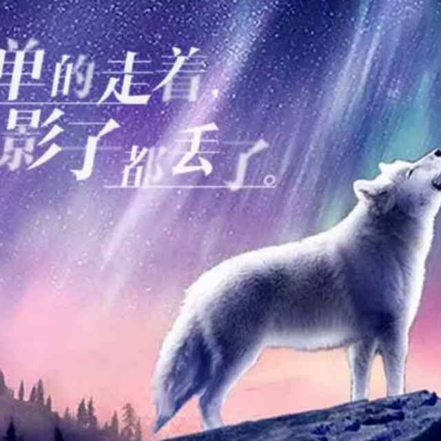 就是不要当穷逼,穷就老实点呗0次播放·2021-09-1504:26狼行千里吃