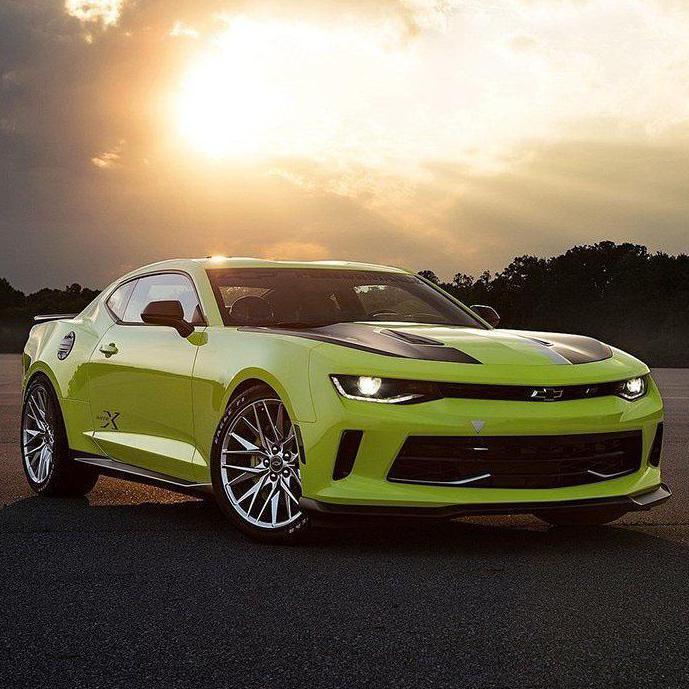 大黄蜂不黄头像