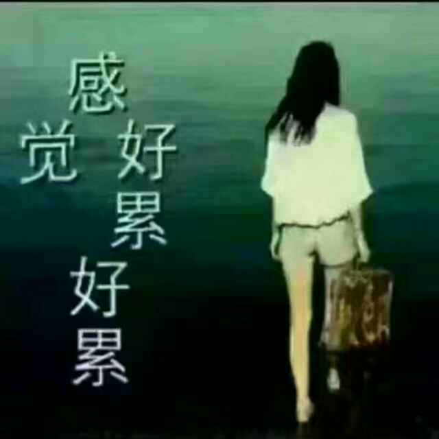 陌生路12头像