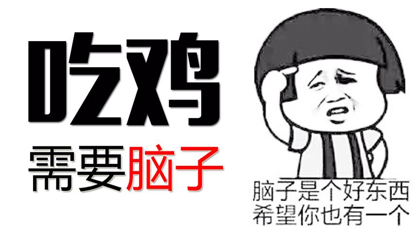下次吃鸡请带上脑子好吗