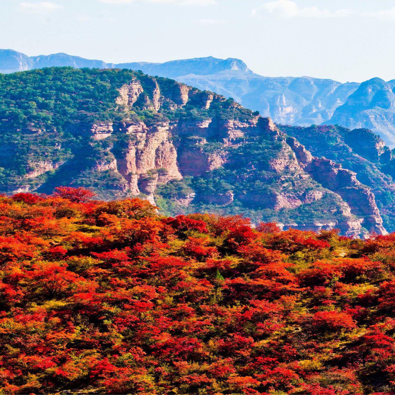 长治乡村旅游头像