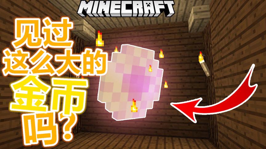 我的世界，看见过这么大的金币吗？