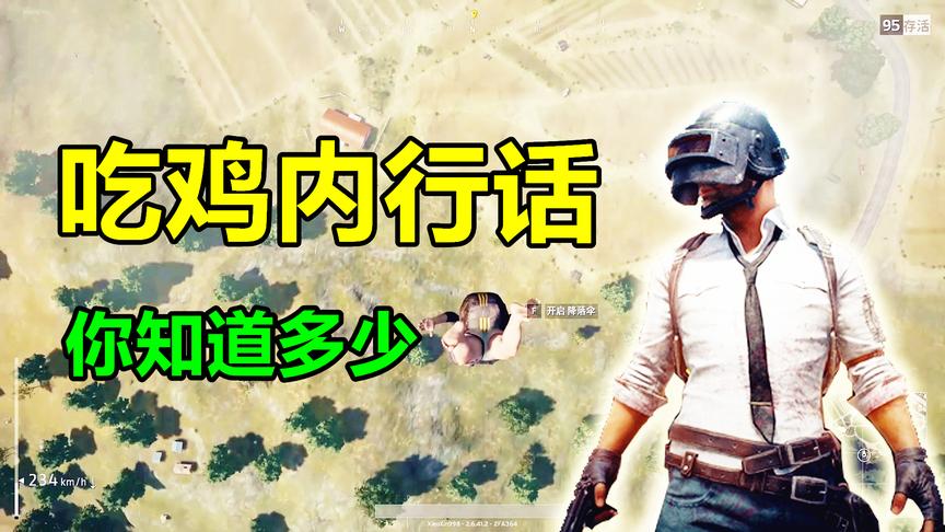 绝地求生：不懂这些“吃鸡梗”还敢说自己玩的是吃鸡？