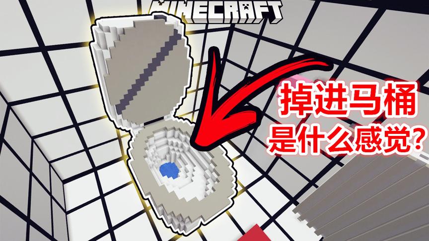我的世界，掉进巨大的马桶里是什么感觉？