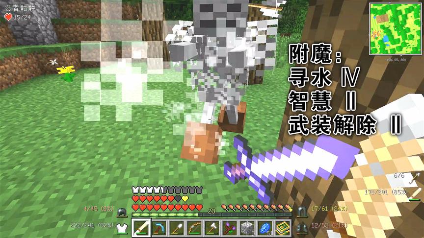 我的世界美丽新世界11：忍者骷髅，奇特的附魔剑