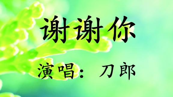 刀郎-《谢谢你》为了表示对歌迷的感谢和支持,特意写的一首歌