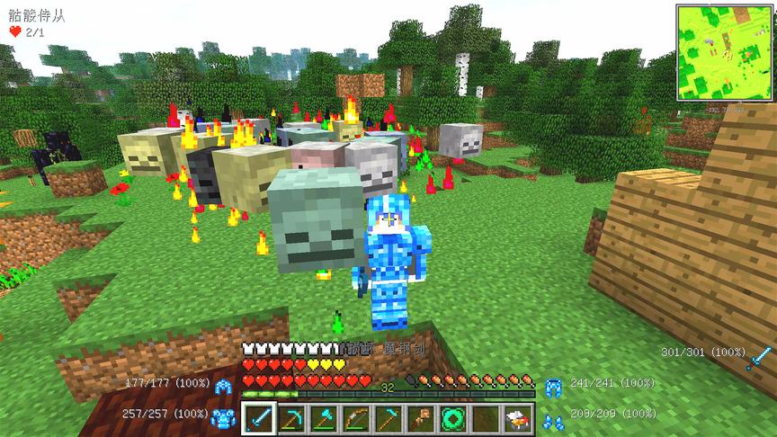 我的世界美丽新世界18：我是侍从召唤师