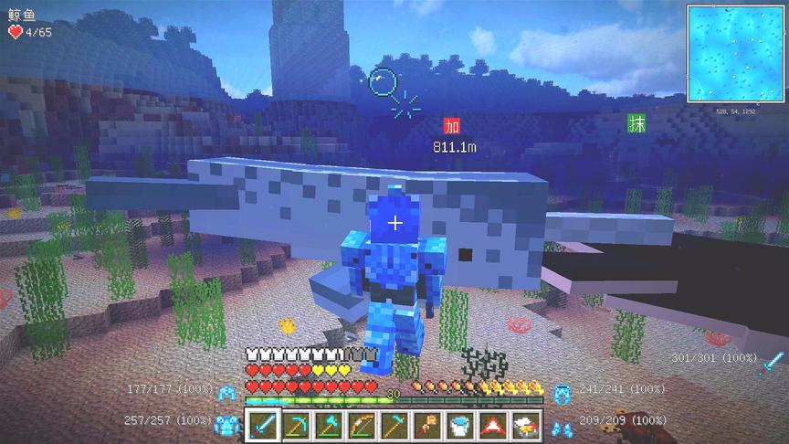 我的世界美丽新世界19：海底世界，珊瑚与鲸鱼