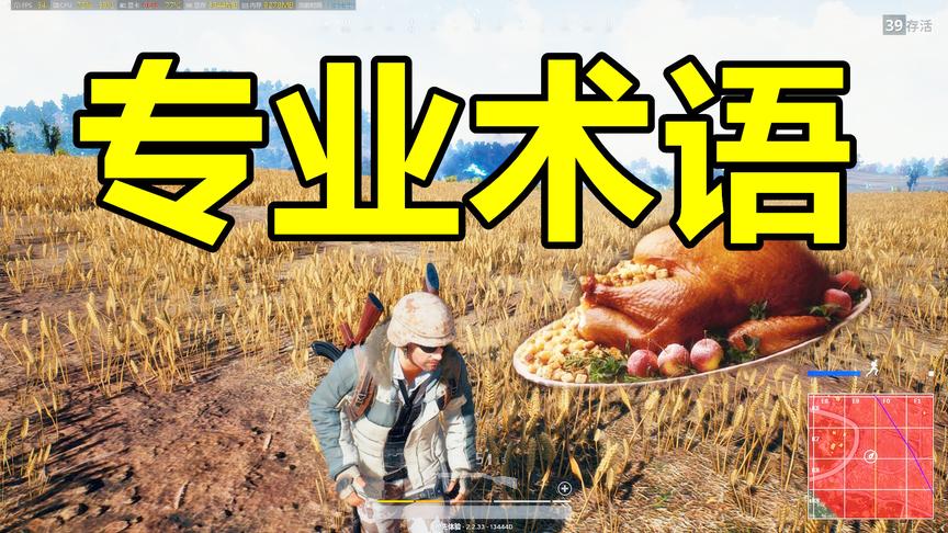 吃鸡游戏那么火，伏地魔什么意思？这10个专业术语你应该知道